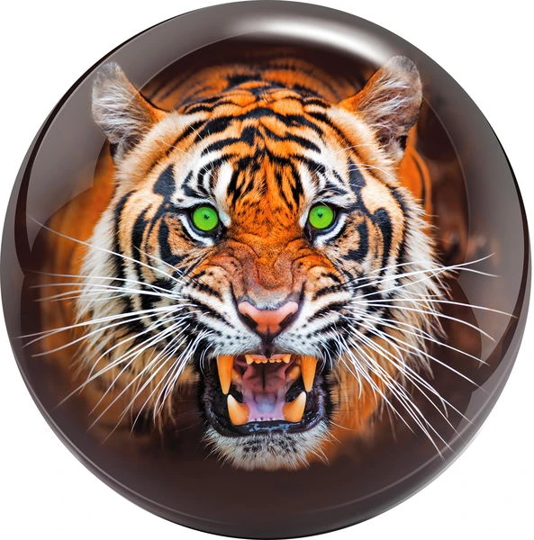 Brunswick Tiger Viz-A-Ball 2 Brunswick Tiger Viz-A-Ball - Image 2