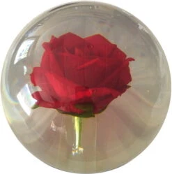 KR Strikeforce Clear Red Rose Ball
